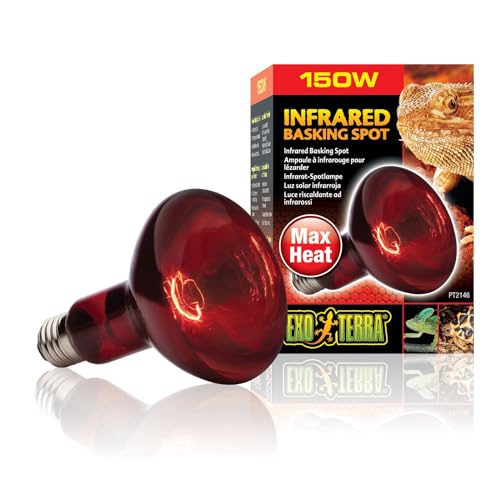 Exo Terra Infrared Basking Spot, Wärmespotlampe, R30, 150W, Fassung E27 von Exo Terra