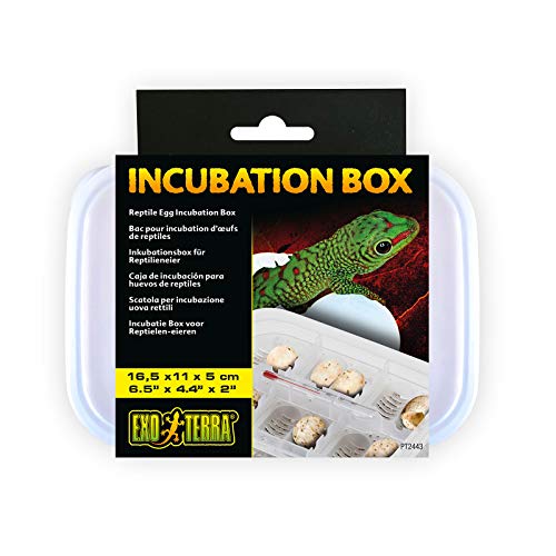 Exo Terra Inkubations-Box für Reptilieneier, ideal für den Gebrauch im Exo Terra Inkubator Pro von Exo Terra