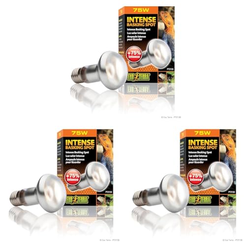 Exo Terra Intense Basking Spot, Wärmespotlampe, R20, 75W, Fassung E27 (Packung mit 3) von Exo Terra