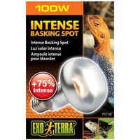 Exo Terra Intense Basking Spot 100 W von Exo Terra