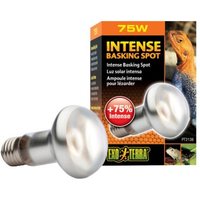 Exo Terra Intense Basking Spot 75 W von Exo Terra