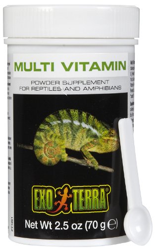 Exo Terra Puderzusatzpräparat, Multivitamin, Futterzusatz für Reptilien, 70g von Exo Terra