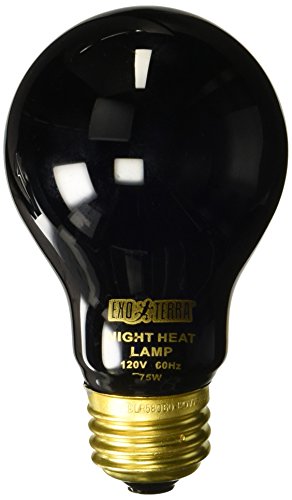 Exo Terra Night Heat Lamp, Mondscheinlampe für Reptilien und Amphibien, 75W, Fassung E27 von Exo Terra