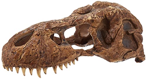 Exo Terra T-Rex-Schädel, sicheres Versteck für Reptilien und Amphibien, groß, 1 Stück (1er Pack) von Exo Terra