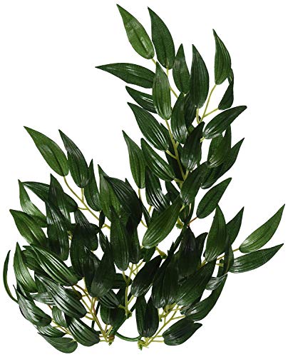 Exo Terra Planta Ruscus Small 35 Cm Pt3031 von Exo Terra