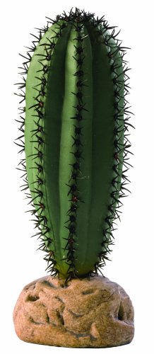 Exo Terra Saguaro Kaktus Terrarium Pflanze von Exo Terra