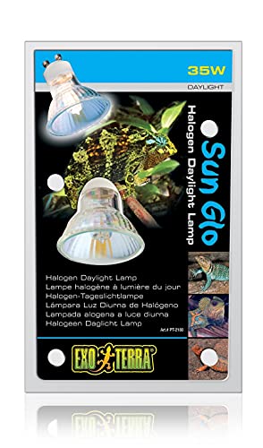 Exo Terra Sun Glo Halogen Tageslichtlampe, 35W, Fassung GU 10 von Exo Terra