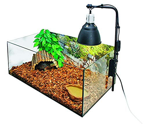 Exo Terra Terrarium aus Glas, Terrarien Set für Landschildkröten, 60 x 35 x 23 cm von Exo Terra