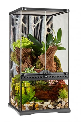 Exo Terra Terrarium aus Glas, mit einzigartiger Front Belüftung, 30 x 30 x 60cm, auch als Paludarium nutzbar Exo Terra Terrarium aus Glas, mit einzigartiger Front Belüftung, 30 x 30 x 60cm, auch als Paludarium nutzbar von Exo Terra