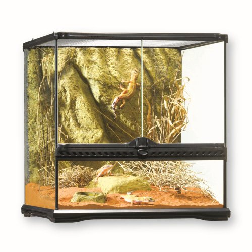 Exo Terra Terrarium aus Glas, mit einzigartiger Front Belüftung, 60 x 45 x 60cm, Schwarz von Exo Terra