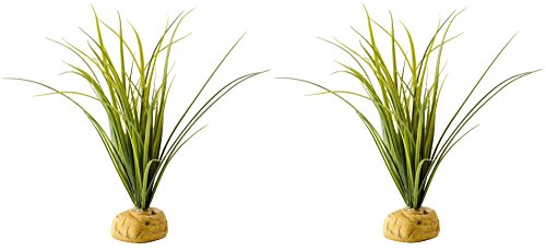 Exo Terra Terrariumpflanze Star Kaktus Turtle Grass Pflanze, Turtle Grass - 2 Pack von Exo Terra