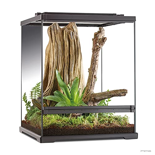 Exo Terra Tree Frog Terrarium. 45x45x60c von Exo Terra