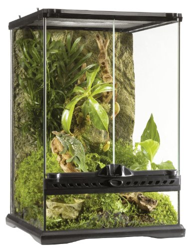 Exo Terra Terrarium aus Glas, mit einzigartiger Front Belüftung, 30 x 30 x 45cm von Exo Terra