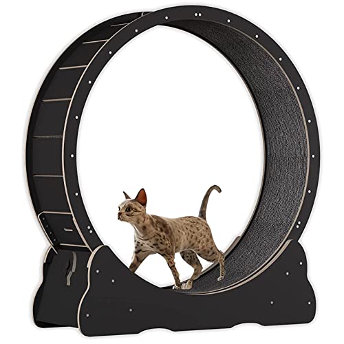 Cat Exercise Wheel Indoor Treadmill Small Animals Exercise Wheels, cat Runway, Fitness Weight Loss Device, Cat Running Wheel, Pet Toy, Large-Sized cat Wheel,Black-XL von ExoticaBlend