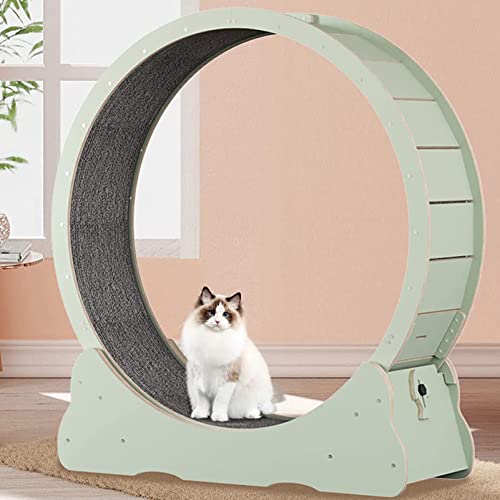 Katze-Rad-Übungsgerät für Innenkatzen, Katze-Laufrad, Katze-Laufband-Rad-Übungsspielzeug niedliche Katze-Möbel-Katzen-Trainingsspiel,Green-XL von ExoticaBlend