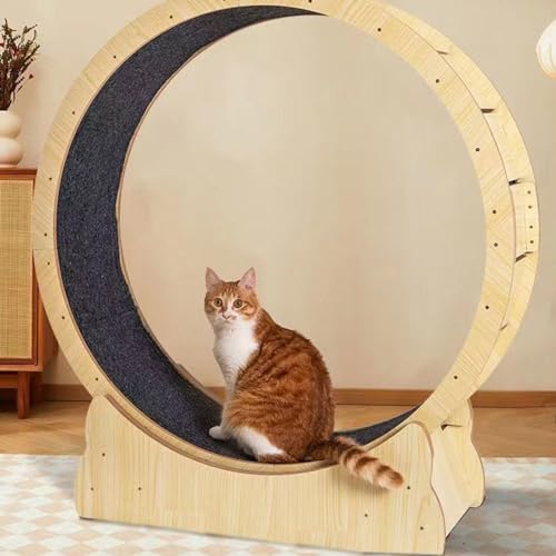 Katzen-Laufrad, Katzenspielzeug, Kätzchenspielzeug, Indoor-Katzenspielzeug für die Gesundheit der Katze,XL von ExoticaBlend