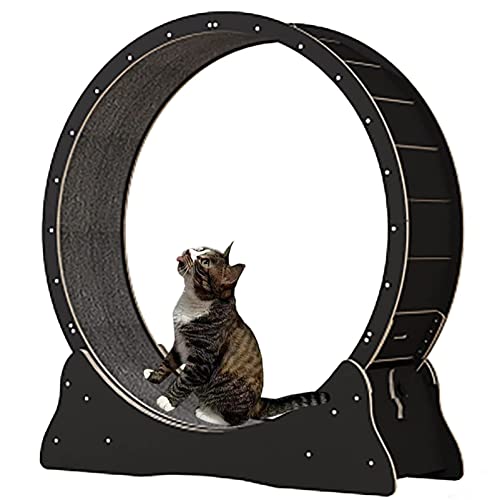 Katzenlaufrad Indoor Laufband, Katzenlaufrad Katze mit Austauschbaren Griffpads, Verriegelungsmechanismus, TPE leise und Geräuschlose Rollen,Black-L von ExoticaBlend