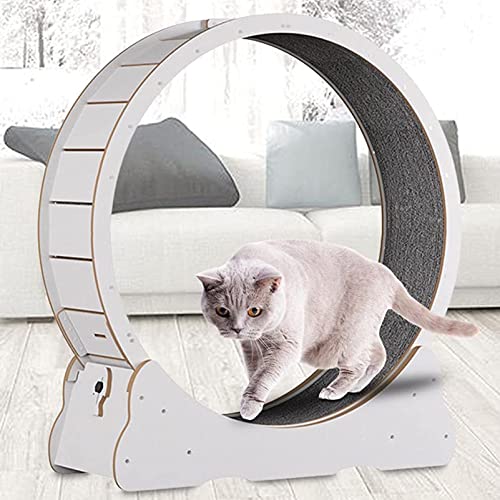 Katzenlaufrad Indoor Laufband, Katzenlaufrad Katze mit Austauschbaren Griffpads, Verriegelungsmechanismus, TPE leise und Geräuschlose Rollen,White-L von ExoticaBlend