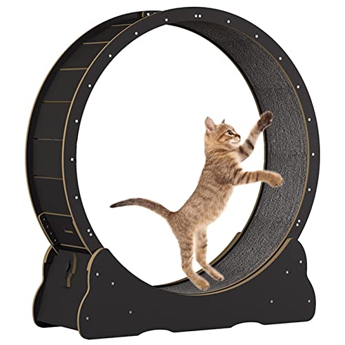 Katzenrad Katzenlaufband Laufband Laufrad Niedliche Katzenmöbel Haustier Spielzeug Katzenspielzeug Katzen Abnehmen Gerät,Black-L von ExoticaBlend