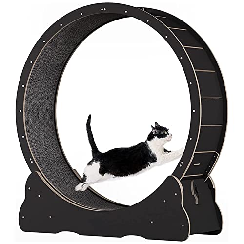 Katzenrad-Trainingsgerät für Indoor-Katzen, Katzenlaufrad, Einfach montiertes Katzenlaufband mit Verriegelungsmechanismus, Ultra-leises Laufen für Katze Gesund,Black-M von ExoticaBlend