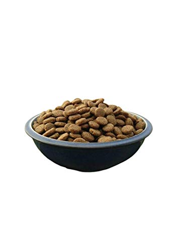 Express Pet Supplies 2 x 15 kg komplettes Premium Trockenfutter für Hunde, hypoallergen, glutenfrei (1 x Huhn und 1 x Lamm) von Express Pet Supplies