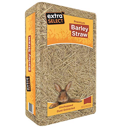 Extra Select Gerstenstroheinstreu – weiche Tierstreu für Kaninchen, Schildkröten und mehr – 3 kg (2 Stück) von Extra Select