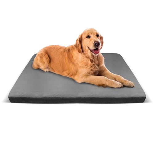 Orthopädisches Hundebett Für Große und Mittelgroße Hunde 100 x 70 x 7 cm Mit Visco Memory Hundematratze Hundesofa Hundecouch Hundekissen Flauschig Waschbar Pflegeleicht Rutschfest Graphit Dunkelgrau von Extrasen