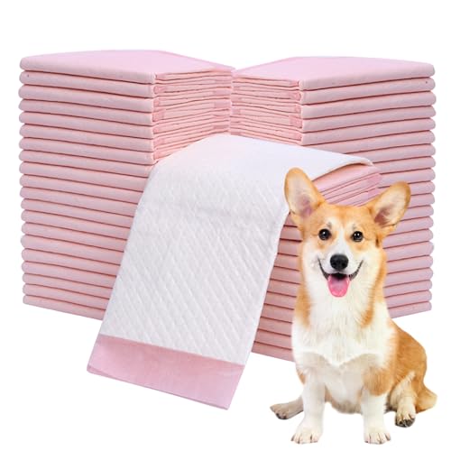 50pcs Hundetrainingspads Große Hund Pee Pads Welpen-Trainingspads Haustierpolster 24x18 Zoll Super Saugle und Leckfreie Welpenpolster Toilette für jüngere Haustiere Innenräume von Eyccier