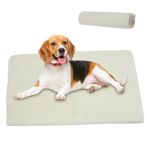 Eyccier Waschbares Hundebett 24 x 18 Zoll Selbstheizung Hundebetthund Decke Abnehmbar Winter warm warmes Haustierdecke Katze Decke Kissen Matte für Welpen Kätzchen Kaninchen Weiß weiß von Eyccier