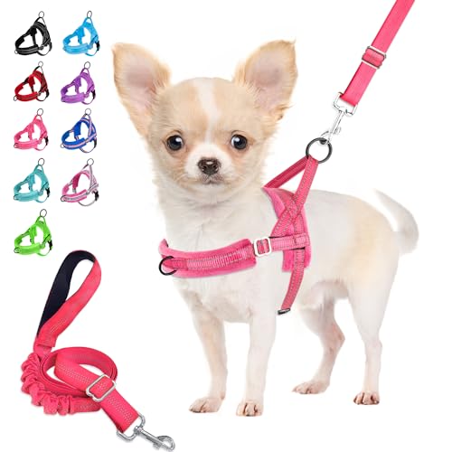 Eyein No-Pull Hundegeschirr mit Leine, Geschirr mit Weich Gepolstertes, Reflektierend, Verstellbares, Brustgeschirr für Welpen, Klein Hunde, große Hunde, Haustiere, Katzen (Rosa, S) von Eyein