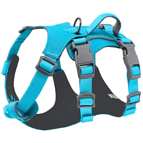 Eyein Hundegeschirr für große mittelgroße Hunde, Leichtes und Atmungsaktiv No Pull Brustgeschirr mit Griff, reflektierend Nylon Geschirr mit Frontclip für Wandern und täglichen Gebrauch, Blau, L/XL von Eyein