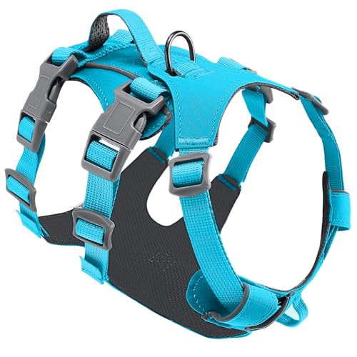 Eyein Hundegeschirr für große mittelgroße Hunde, Leichtes und Atmungsaktiv No Pull Brustgeschirr mit Griff, reflektierend Nylon Geschirr mit Frontclip für Wandern und täglichen Gebrauch, Blau, M von Eyein