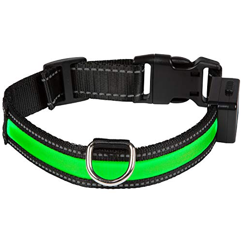 EYENIMAL NGCOLLUM020 Usb Light Collar Green M, M, green,76 g von Eyenimal