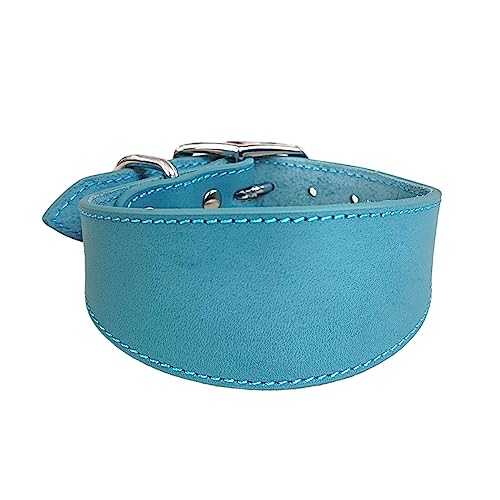 Eyiara Leathers Hundehalsband, weich gepolstertes Halsband für Whippets, Salukis, Windhunde, verstellbares Halsband, große Hunderassen von Eyiara