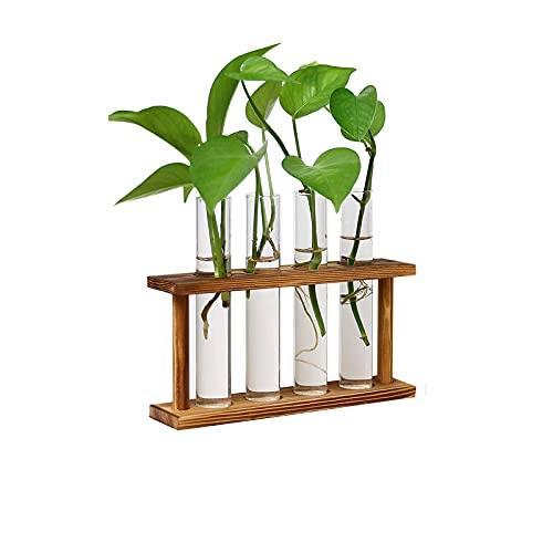 Vermehrungsstationen-EylKoi Reagenzglas-Übertopf mit braunem Retro-Holzständer, Reagenzglas-Knospenvase mit 4 Reagenzgläsern, Vermehrungsgefäße für Pathos Plant Hydroponics Home Garden Table Decor von EylKoi