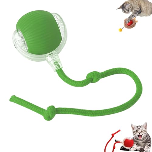 Eznaobo Interaktives Katzenspielzeug, katzenspielzeug selbstbeschäftigung, interaktiver spielball für Katzen und Hundespielzeug, 360° intelligent, USB Automatisches Elektrisches Spielzeug (A-Green) von Eznaobo