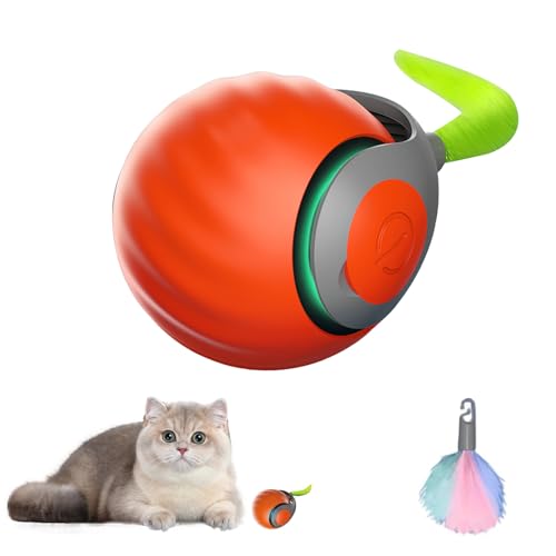 Eznaobo Interaktives Katzenspielzeug, katzenspielzeug selbstbeschäftigung, interaktiver spielball für Katzen und Hundespielzeug, 360° intelligent, USB Automatisches Elektrisches Spielzeug (B-orange) von Eznaobo