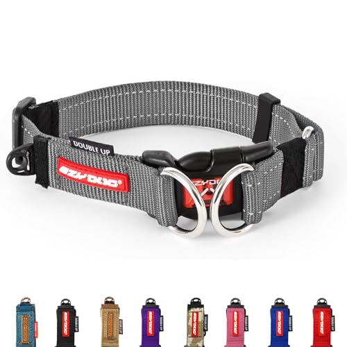 EZYDOG Double Up Hundehalsband | Hundehalsband für kleine, mittelgroße und große Hunde, reflektierendes Hundehalsband, höchster Komfort, weiches Neopren-Material, starkes Nylon-Gurtband (groß, grau) von EzyDog