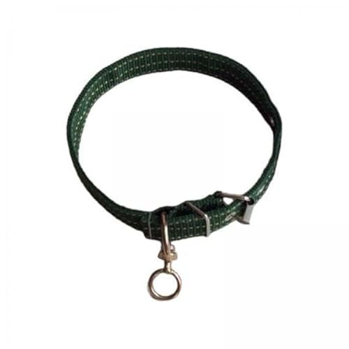 F Fityle 2 X Hundehalsband mit Metallschnalle, Strapazierfähig, Breit, Dick, Stabil, Verstellbar, Weich Gepolstert, für Hundeliebhaber, Geschenke Zum Laufen, T, 3 Stk. von F Fityle