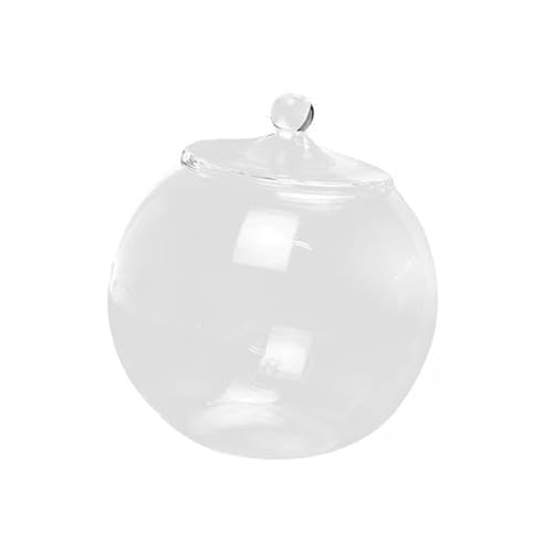 F Fityle 2X Glasterrarium, Mikro Landschaftsflasche, Versiegeltes Desktop DIY Vorratsglas, Pflanzgefäß, Glaspflanzenbehälter für Süßigkeiten, Tee, Schlafzimmer F Fityle 2X Glasterrarium, Mikro Landschaftsflasche, Versiegeltes Desktop DIY Vorratsglas, Pflanzgefäß, Glaspflanzenbehälter für Süßigkeiten, Tee, Schlafzimmer von F Fityle