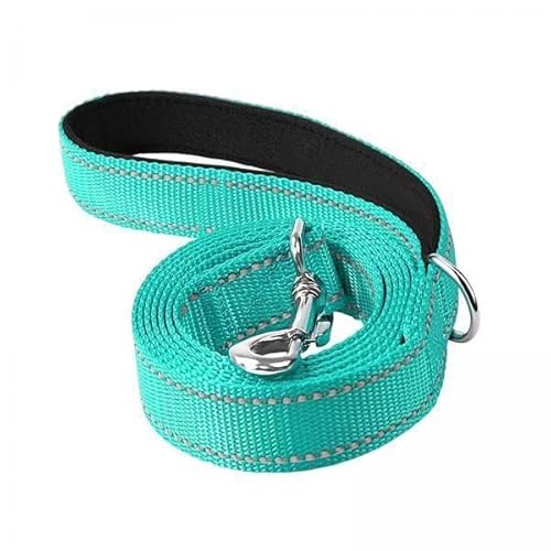 F Fityle 2X Reflektierende Hundeleine, Hundetrainingsleine, Nylon Geflochten, Stark, Langlebig, Bequem, für Große, Mittelgroße Und Kleine Hunde, Zum von F Fityle