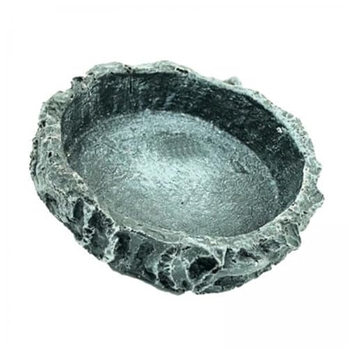 F Fityle 2xReptile Worm Dish Pet Food Tray Ornament Sturdy Eco Friendly 8x8x2CM von F Fityle