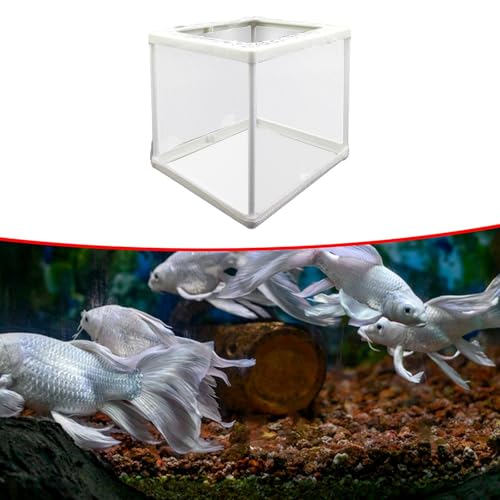 F Fityle 3X Aquarium Isolationsnetz, Aquarium Trenngitter, Fisch Isolationsbox, Fisch Inkubator, Isolationshülle, Guppy, Neugeborene, Fischbrut, Clownfische von F Fityle