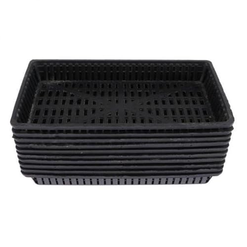 F Fityle 3x10x Aquatische Pflanzkörbe Wasserpflanze Gras Pflegen Pflanzung Schwarz, Schwarz, 4 Stück von F Fityle