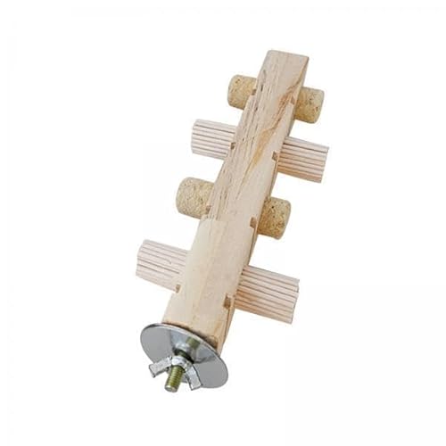 F Fityle 4X Kaustopper Aus Holz für Vögel, Spielständer, Kork, Schatzspiel, Trainingsspielzeug, Holzblock für Graupapageien, Kleine Und Mittelgroße Vögel von F Fityle