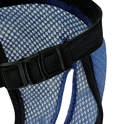 F Fityle 4X Physiologische Hose für Hunde, Hygienehöschen, Slips, Shorts, Hose, Unterwäsche, Unterhose, Bauchband, L BLAU von F Fityle