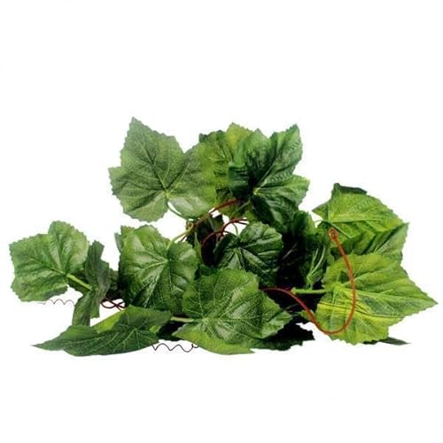 F Fityle 4xReptile Terrarium Trauben Ivy Reben Vivarium Ornament Künstliche Pflanze Dekor, Grün, 4 Stück von F Fityle