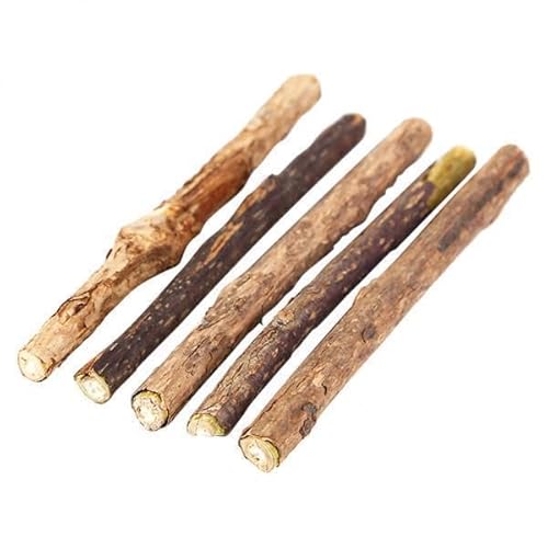 F Fityle 5x5 Stücke Katzenminze Silvervine Sticks Natürliche Zahnpasta Actinidia Polygama Katzenspielzeug, Braun, 3 STK. von F Fityle