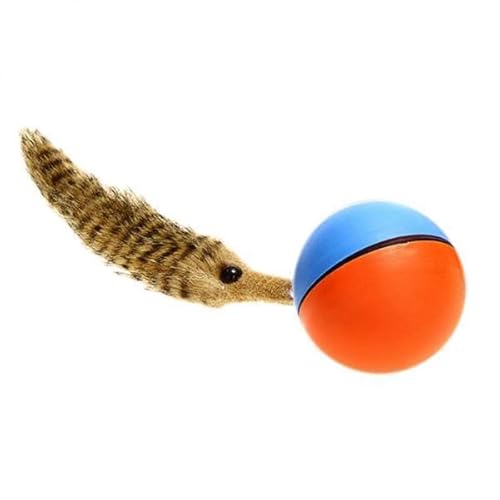 F Fityle 5xFun Biber Roll Motor Ball Haustier Hund Katze Chaser Springen Moving Spielzeug, zufällig, 6 STK. von F Fityle