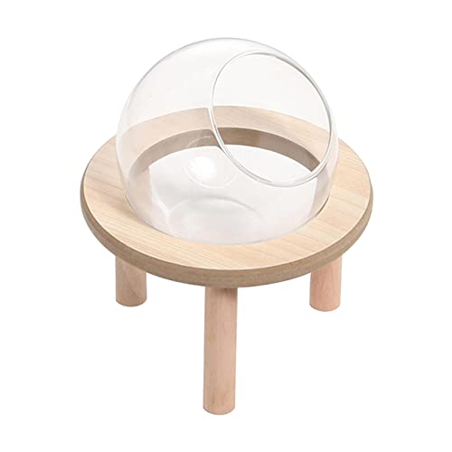 F Fityle Hamster-Sandbad-Container, Hamster-Sandbad-Box groß groß, Haustier-Spielzeug-Duschraum transparent, Holz-Badezimmer-Kleintier-Bad für Rennmaus-Mäuse, 12cm von F Fityle